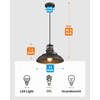 FEMILA Farmhouse Pendant Light,12-inch Barn Vintage Hanging Light Fixture for