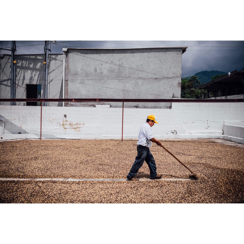 Nossa Familia Brazil Medium Dark-Roast Coffee - Fair Trade Whole