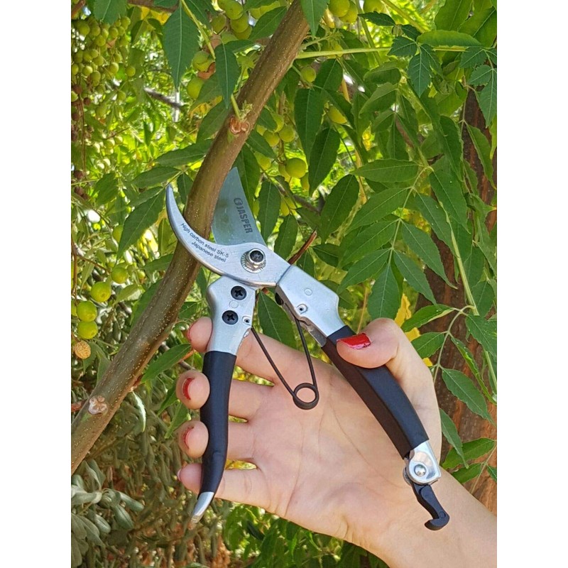 Jasper Solid 8" Heavy Duty Bypass Pruners Japanese Steel SK-5