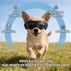 anteojos de sol Chihuahua extra pequeñas con protección ocular para