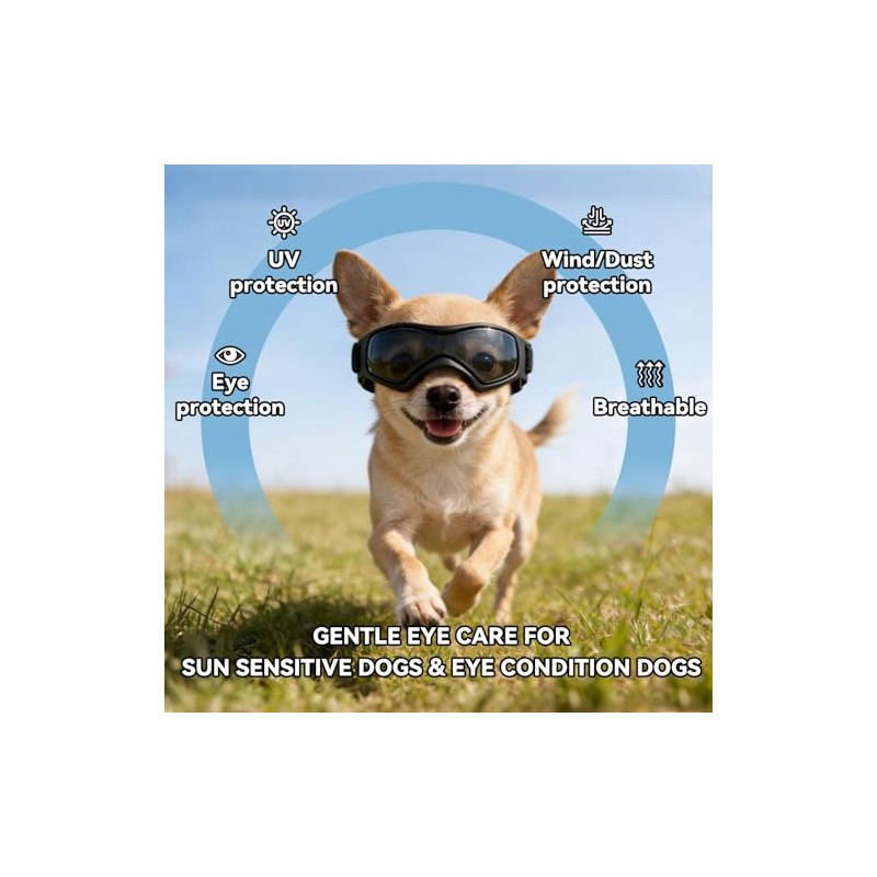 anteojos de sol Chihuahua extra pequeñas con protección ocular para