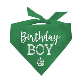 Birthday Boy with Cupcake Dog Pawdy (Party) Celebration Dog Bandana (Green, OS 214)