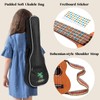 CAHAYA Concert Ukulele 23 Inch Ukulele Kit Beginner Starter with