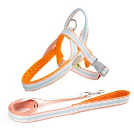 HOSTPATH Easy Walk Small Dog Harness,Colorful Step-in Reflective Dog Harness Vest with Handle,Breathable Mesh Padded Pet Harness for Small Medium Dogs_L(Orange)