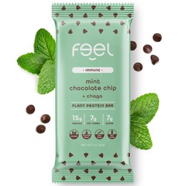 Feel Vegan Protein Bars | Mint Chocolate Chip | Keto | Gluten Free | Organic | Chaga Mushroom | 15g Plant Protein | Low Carb | High Protein | Dairy Free | Low Sugar | Grain Free | Nut Free | Soy Free