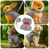 Rabbit Harness and Leash Set,Bunny Leash for Walking Escape Proof,Bunny