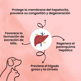 Trihepatic Labyes 100ml, Protector Hepático Perro Y Gato 4pz