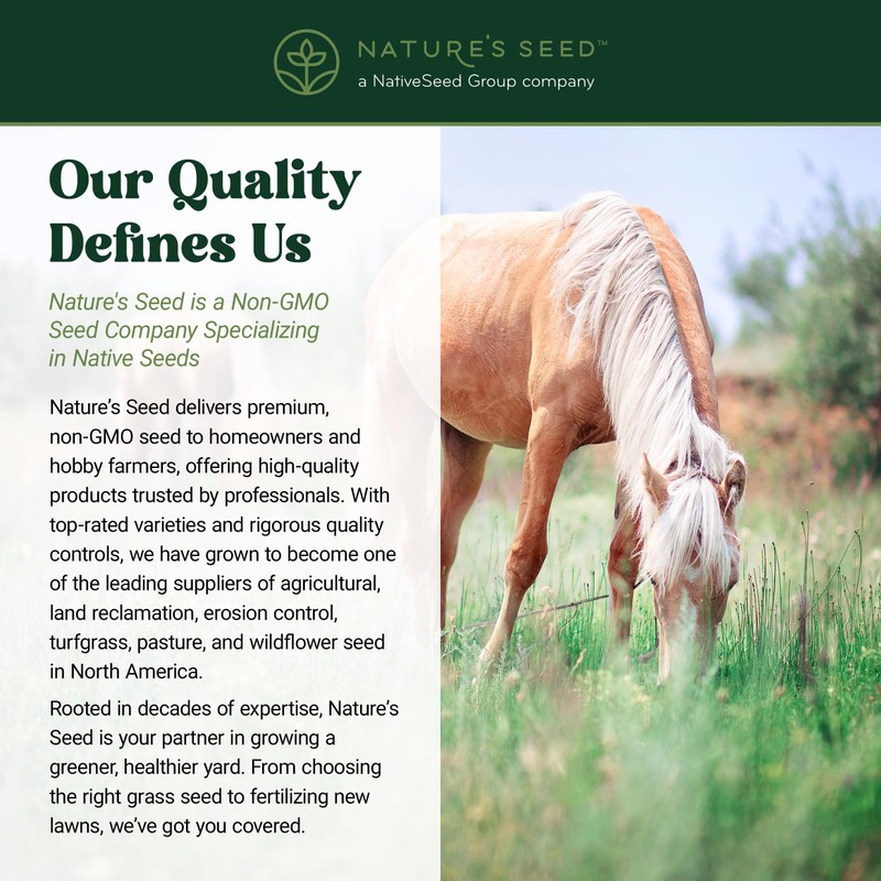 Nature's Seed Northern Horse Forage Mix, Equine Pasture Grass Seed