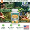 GARDENERA Premium Organic Seaweed & Kelp Superfood for Money Tree