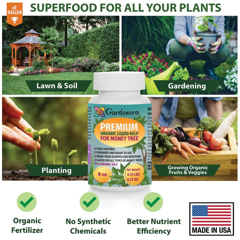 GARDENERA Premium Organic Seaweed & Kelp Superfood for Money Tree