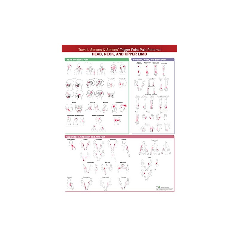Travell, Simons & Simons’ Trigger Point Pain Patterns Wall Chart: