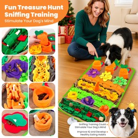 PETCARE Snuffle Mat for Dogs Large Breed and Lick Mat Set, Interactive Enrichment Dog Puzzle Toy for Puppy Small Medium Large Dogs Cat Rabbits, Foraging Mental Stimulation Treat Game Slow Feeder Mats