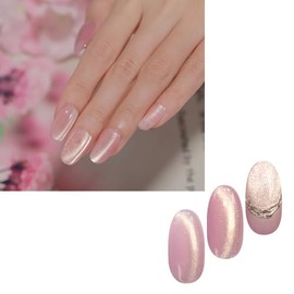 Magnetic Nail "Cherry Blossom Magnet" Light Gold Magnet Powder Color Gel Popular Self Gel Nail Easy Cute (Cherry Blossom Magnet) 06, 0.2 oz (5 g)