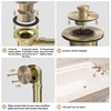 Champagne Brushed Gold Bronze Bathtub Drain, Hair Catcher and 2-Hole