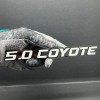 Emblem Badge 1PC 5.0 COYOTE Emblem White on Black –