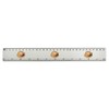 'Cappuccino Coffee' 30cm (12 Inch) White Plastic Ruler (RL00087310)