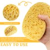 Benaewa 3 Pcs Natural Sponge, Shower Sponges for Men, Women,