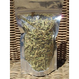 Honeysuckle Tea - Lonicera japonica Loose Buds by Nature Tea (1 oz)