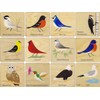 Bird Memory Tiles - Made in USA