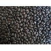 Organic Black Turtle Beans | Heirloom | NON-GMO | USA