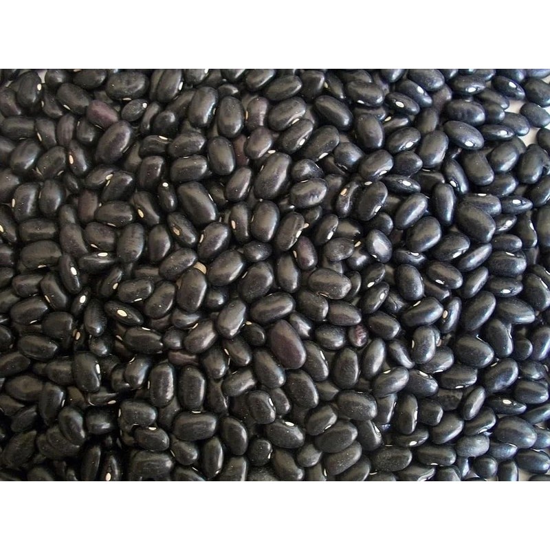 Organic Black Turtle Beans | Heirloom | NON-GMO | USA