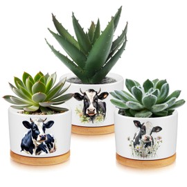 Jingmore 3 Pcs Cow Decor Gift for Christmas Women Planter Ceramic Gift Animal Plant Pot with Bamboo Tray for Office Home Farm House Bathroom Kitchen Decorations (No Plants Included)