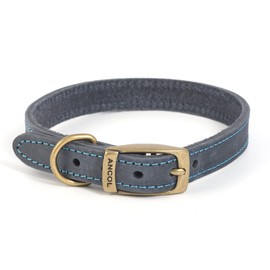 Ancol Timberwolf Comfortable Durable Leather Blue Dog Collar Pet Training Accessory 20-26 cm, Size 1