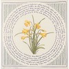 Impresión artística "Naffodils" William Wordsworth por Susan Loy Literary Calligraphy