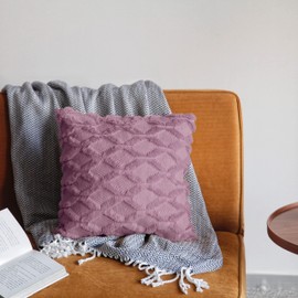 Pagnanno. Set of 2 Soft Velvet Cushion Covers 45x45cm(18x18 Inches) Fluff Throw Pillowcases Square Cushion Covers for Chairs,living room,bedroom with Invisible Zipper (18"x18" (Pack of 2), Lilac)