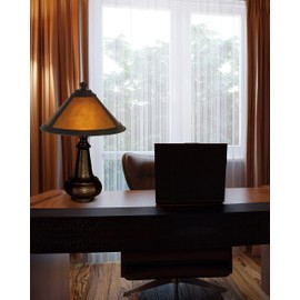 Dale Tiffany TA90191 Hunter Mica Accent Lamp, Antique Bronze and Mica Shade 16.00x10.00x10.00