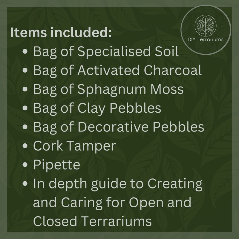 DIY Medium Open and Closed Terrarium Kit (White Pebbles)