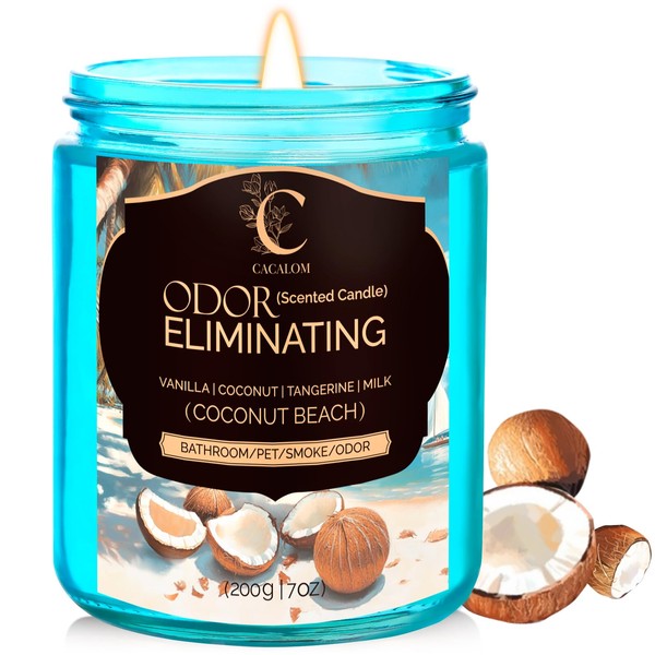 Coconut Beach Scented Candle, Classic 7oz Jar with Single Wick,