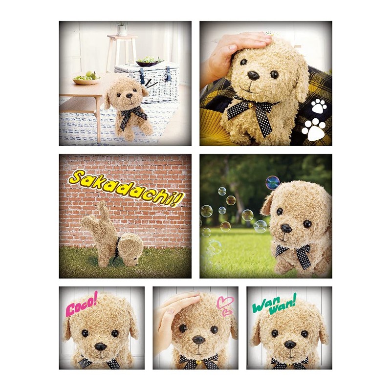 SEGA TOYS Coco Sakadachishite Apricot