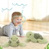 30cm Turtle Teddy, Little Turtle Plush Toy, Weighted Cute Turtles