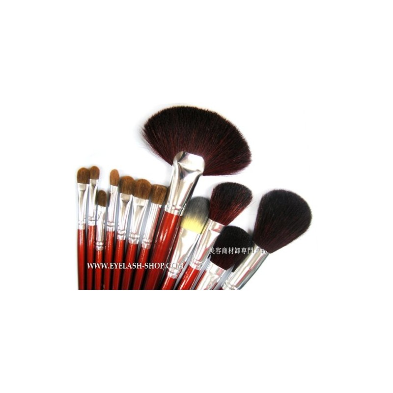 STZ-2402 Makeup Brush Set with Brush Storage Case, 24 Brush