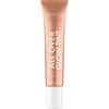 Catrice All Over Glow Tint 040 Bronze It