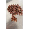 Semilla Grano Cacao Puro, Criollo Crudo 250gr Tabasco