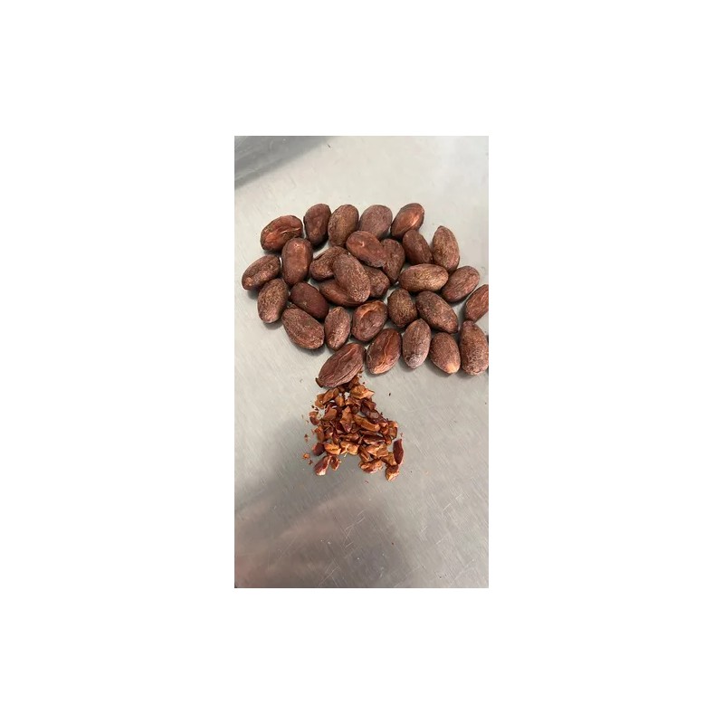 Semilla Grano Cacao Puro, Criollo Crudo 250gr Tabasco