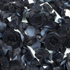 Dried Real Rose Petals, Natural Preserved Dry Flower Petals for Wedding Party Dinner Table Decor, Romantic Night for Her Set, Engagement, Bridal Shower, Valentine's Day, Confetti (1.6oz, Black)