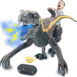 Dinosaur Toys, 13 inch Remote Control Dinosaur - Realistic Electronic Velociraptor with 3D Eyes Shaking Head Light Sounds, Toy for Ages 3+ Boys and Girls,rc dinosaur,dinosaur toys t rex rc,remote control animal