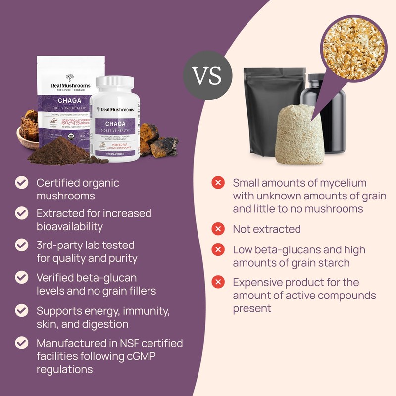 Real Mushrooms Chaga Mushroom Capsules – Organic Chaga Extract Powder