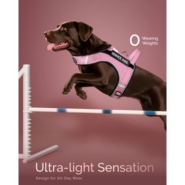 FAYOGOO Service Dog Vest for Large Dogs - Air Mesh Breathble Emotional Support Animal Vest with DIY Removable Patches - Dog Harness and Leash Set Adjustable Neck and Chest(Pink,XXL)