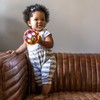 Baby Einstein Cal Bendy Ball Rattle Toy, Ages 3 months