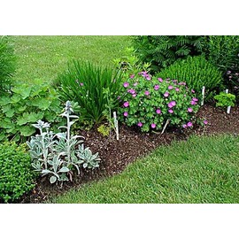 Chaste Tree Berries Whole 16oz (1 Pound) (Aka Vitex)