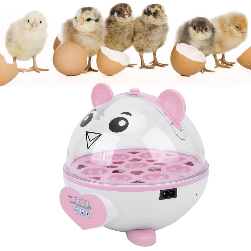 SemiAutomatic Incubator Household Small 9 Eggs Incubator for Chicken Duck