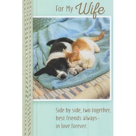 Cute Pets Puppy Dog Kitty Cat Cuddling Together Furry Friends Happy Birthday Greeting Card for Wife - For My Wife - Side by Side, Two Together, Best Friends Always-In Love Forever - On Your Birthday I Want You To Know I Can't Imagine Anyone More Wonderfu
