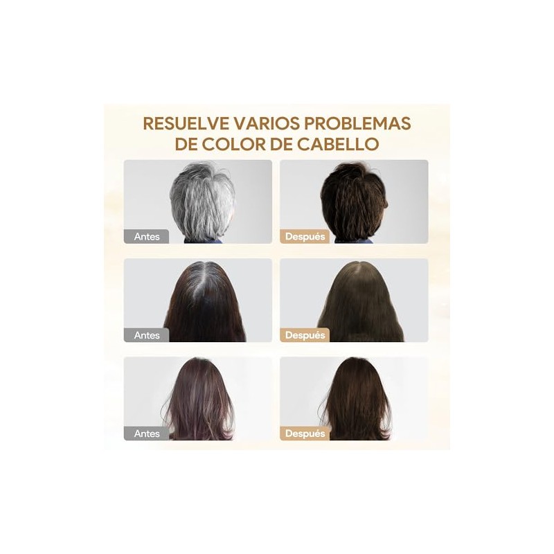 Chestnut Brown Hair Dye Shampoo 3 in 1, Shampoo para