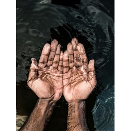 Fenugreek Extract 600 Activated + Calcium - 190 Vegan Tablets (Extract 100mg 6:1) Equivalent to 600mg Powder Per Tablet + Calcium 66mg - Made in Germany