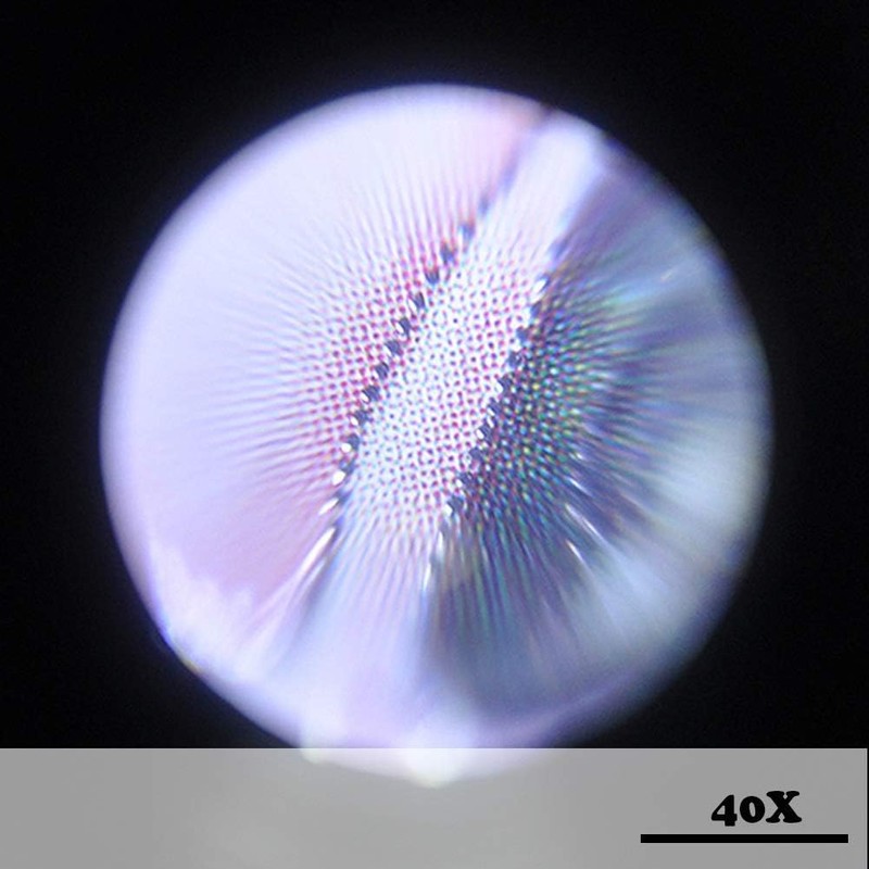 Lupa de mano 40X con luz LED JXYZWJJ de alta