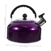 Gatuida Whistling Kettle Stainless Steel Spherical Boiling Pot for Kitchen
